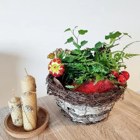 Retro By The Sea Apartment *