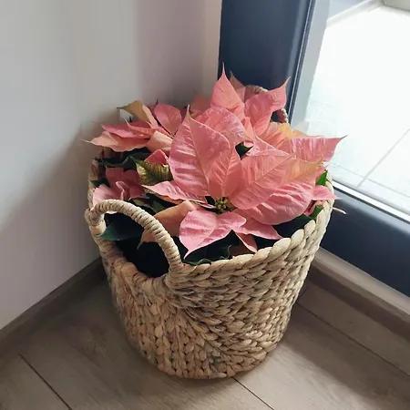 Retro By The Sea * Eforie Nord